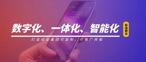 線上辦公零接觸！松滋肥業信息化在戰“疫”之中顯身手(圖1)