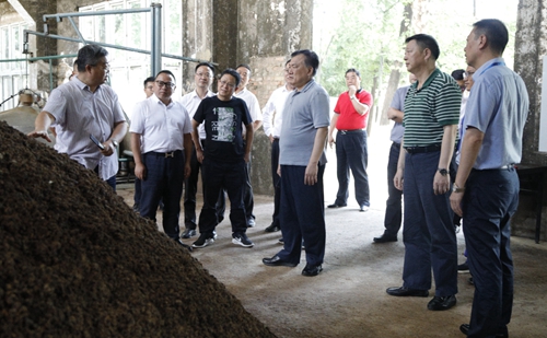 袁衛(wèi)東、王大真到金沙酒業(yè)調研指導工作(圖2)