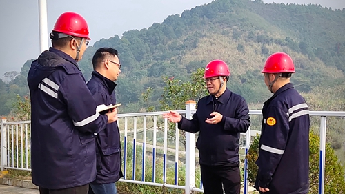 王大真到松滋肥業(yè)、楚星公司、新材料公司和股份公司現(xiàn)場調(diào)研(圖1)