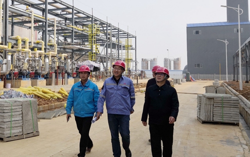 王大真到松滋肥業(yè)、楚星公司、新材料公司和股份公司現(xiàn)場調(diào)研(圖3)