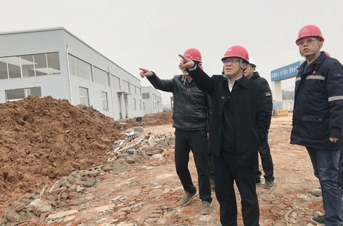 王大真到新材料公司、TPO項(xiàng)目現(xiàn)場和股份公司檢查工作(圖2)