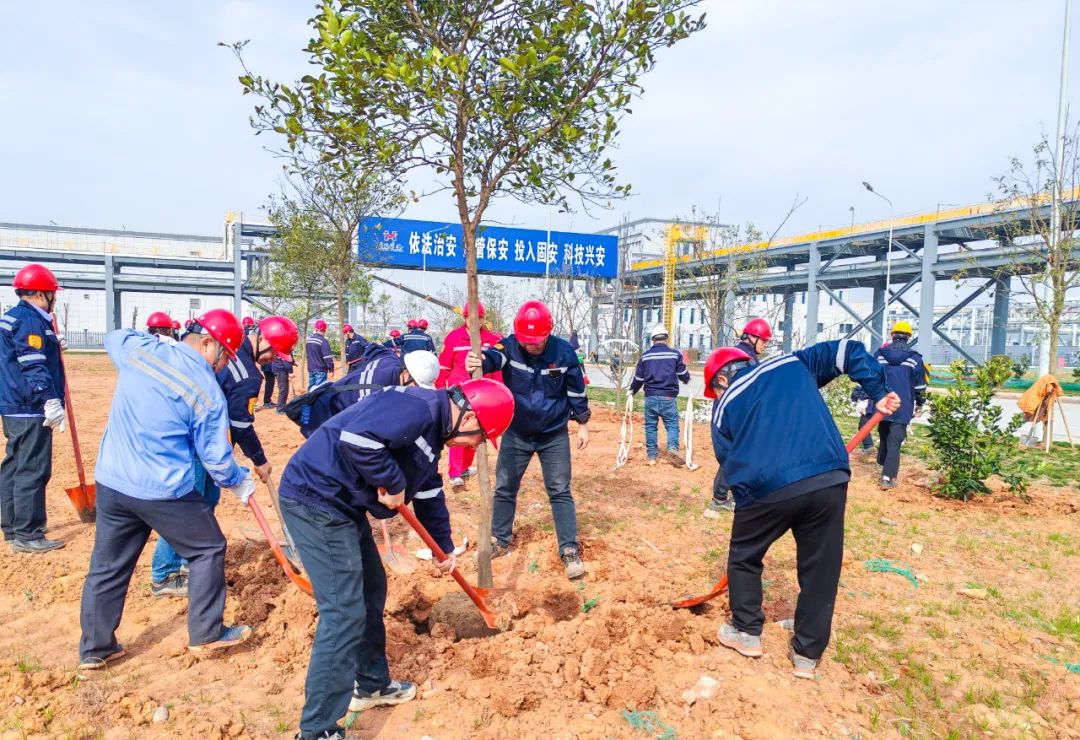 “植”此青綠共“樹”未來！集團各公司開展植樹活動(圖8)