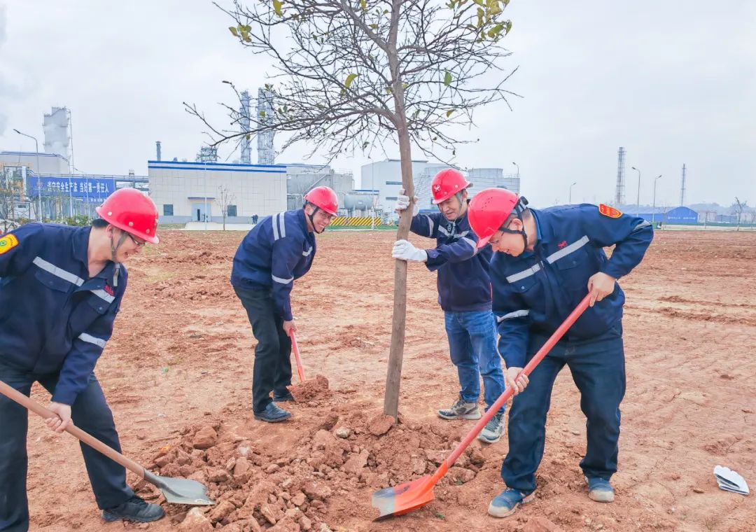 “植”此青綠共“樹”未來！集團各公司開展植樹活動(圖9)