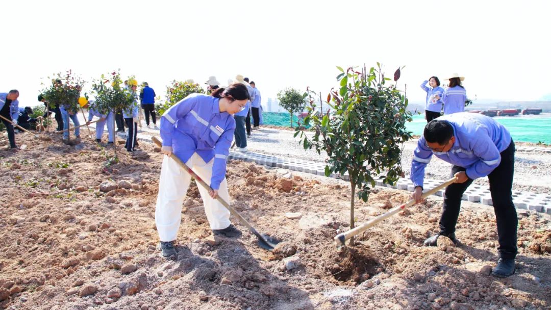 “植”此青綠共“樹”未來！集團各公司開展植樹活動(圖16)