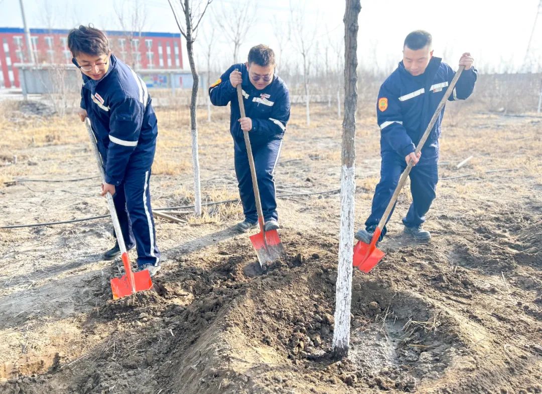 “植”此青綠共“樹”未來！集團各公司開展植樹活動(圖20)