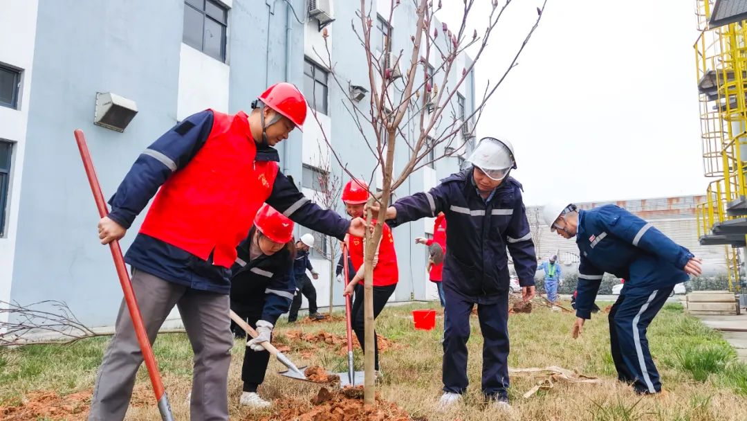 “植”此青綠共“樹”未來！集團各公司開展植樹活動(圖26)