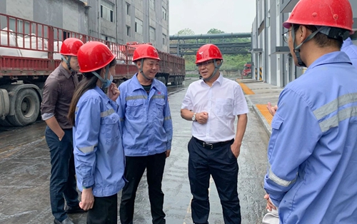 王大真到松滋肥業、楚星公司和TMP項目現場檢查工作