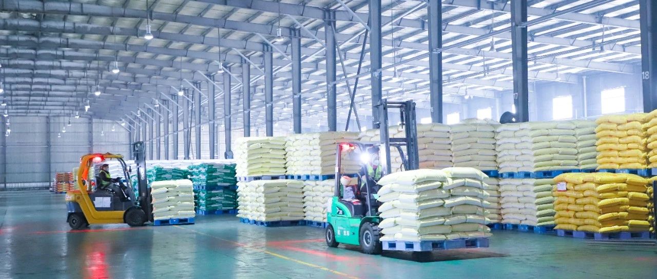 股份公司：抓住關鍵精準發力，推動企業發展行穩致遠